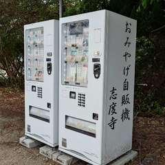 投稿日:2024年6月1日 写真