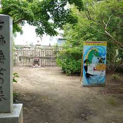 投稿日:2024年6月1日 写真