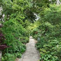 投稿日:2024年6月1日 写真