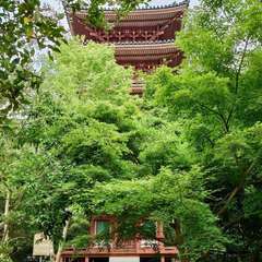 投稿日:2024年6月1日 写真