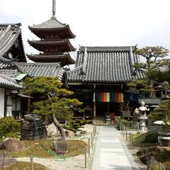 投稿日:2015年3月25日 写真