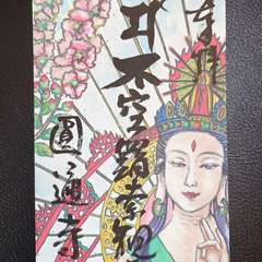 投稿日:2024年6月1日 写真