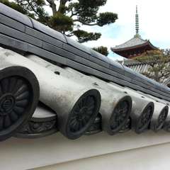 投稿日:2015年3月25日 写真