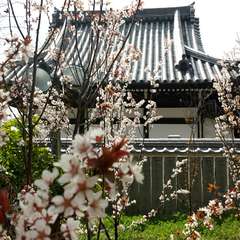 投稿日:2015年3月25日 写真