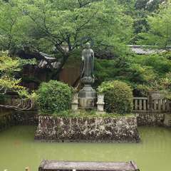 投稿日:2024年6月20日 写真