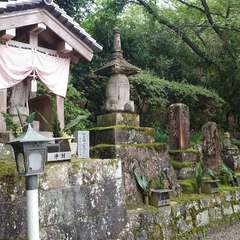 投稿日:2024年6月20日 写真