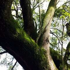 投稿日:2016年4月6日 写真
