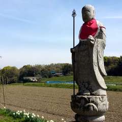 投稿日:2016年4月6日 写真