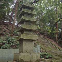 投稿日:2024年6月20日 写真