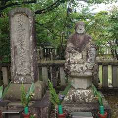 投稿日:2024年6月20日 写真