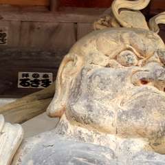 投稿日:2016年4月6日 写真