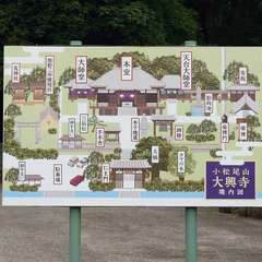 投稿日:2024年6月20日 写真