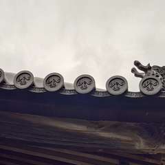 投稿日:2024年6月20日 写真