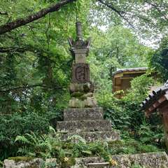 投稿日:2024年6月20日 写真