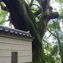 投稿日:2024年6月20日 写真