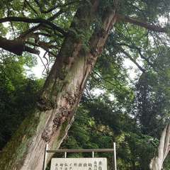 投稿日:2024年6月20日 写真