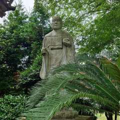 投稿日:2024年6月20日 写真