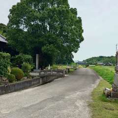 投稿日:2024年6月20日 写真