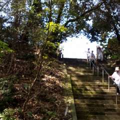 投稿日:2016年4月6日 写真