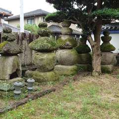 投稿日:2024年7月15日 写真