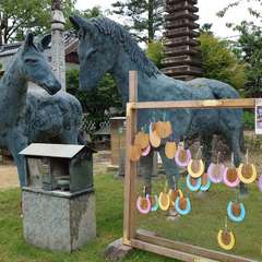 投稿日:2024年7月15日 写真