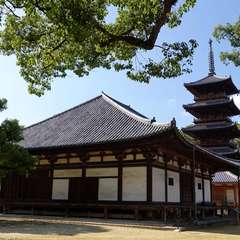 投稿日:2024年10月17日 写真