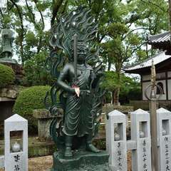 投稿日:2024年7月15日 写真