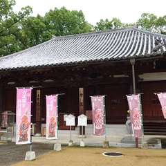 投稿日:2024年7月15日 写真