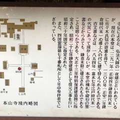 投稿日:2024年10月31日 写真