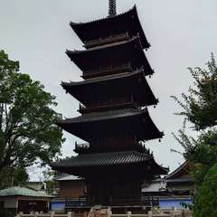 投稿日:2024年7月15日 写真