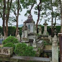 投稿日:2024年7月15日 写真