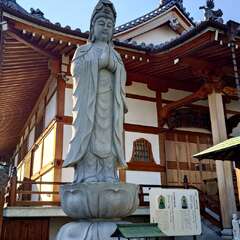 投稿日:2025年1月25日 写真