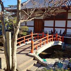 投稿日:2025年1月25日 写真