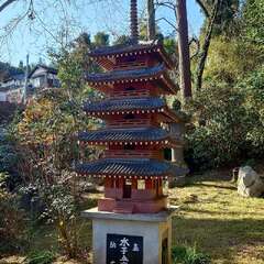 投稿日:2025年1月25日 写真