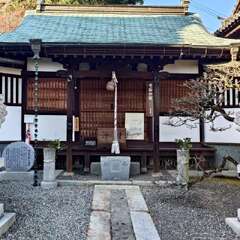 投稿日:2025年1月25日 写真