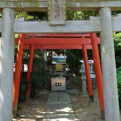 投稿日:2024年6月5日 写真