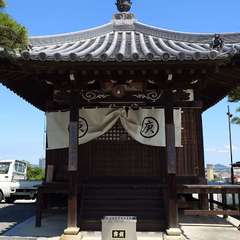 投稿日:2024年6月5日 写真