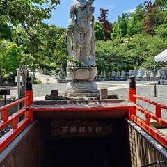 投稿日:2024年6月5日 写真