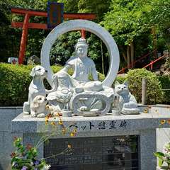 投稿日:2024年6月5日 写真