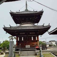 投稿日:2024年5月19日 写真