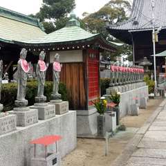 投稿日:2016年1月11日 写真