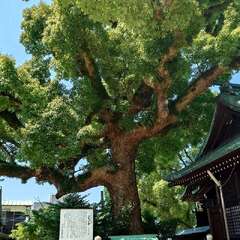 投稿日:2025年8月15日 写真