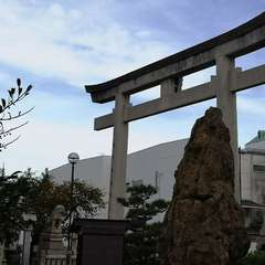 投稿日:2019年10月20日 写真