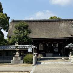 投稿日:2024年9月5日 写真