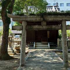 投稿日:2025年8月15日 写真