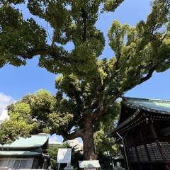 投稿日:2024年9月5日 写真