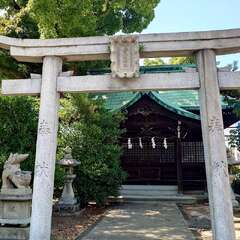 投稿日:2025年8月15日 写真