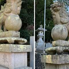 投稿日:2024年9月5日 写真