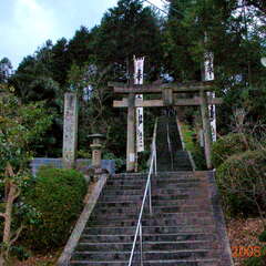 高知八幡神社(投稿日:2025年10月26日) 写真