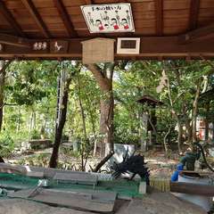 投稿日:2024年8月13日 写真